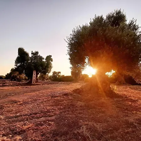 Olive's House With Private Pool * Ostuni