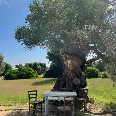 Villa Olive's House With Private Pool Ostuni