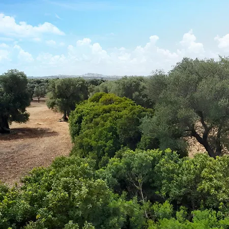 Villa Olive's House With Private Pool Ostuni